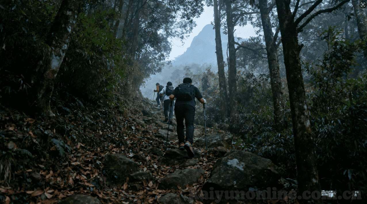 秘鲁有打过世界杯吗-秘鲁足球史，征战世界杯的辉煌与遗憾